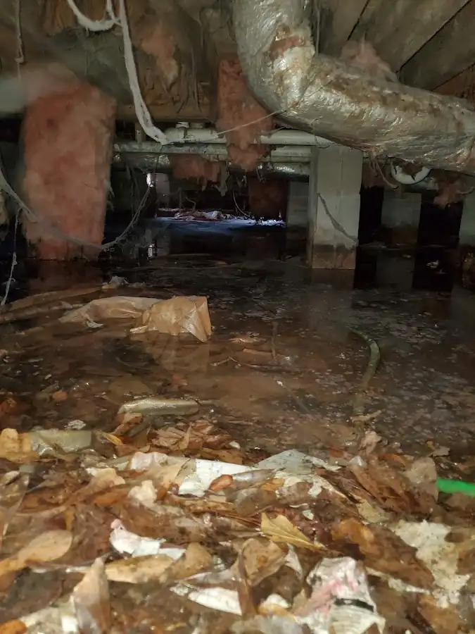 Crawl space flood assessment for Leak Detection & Repair in Minooka