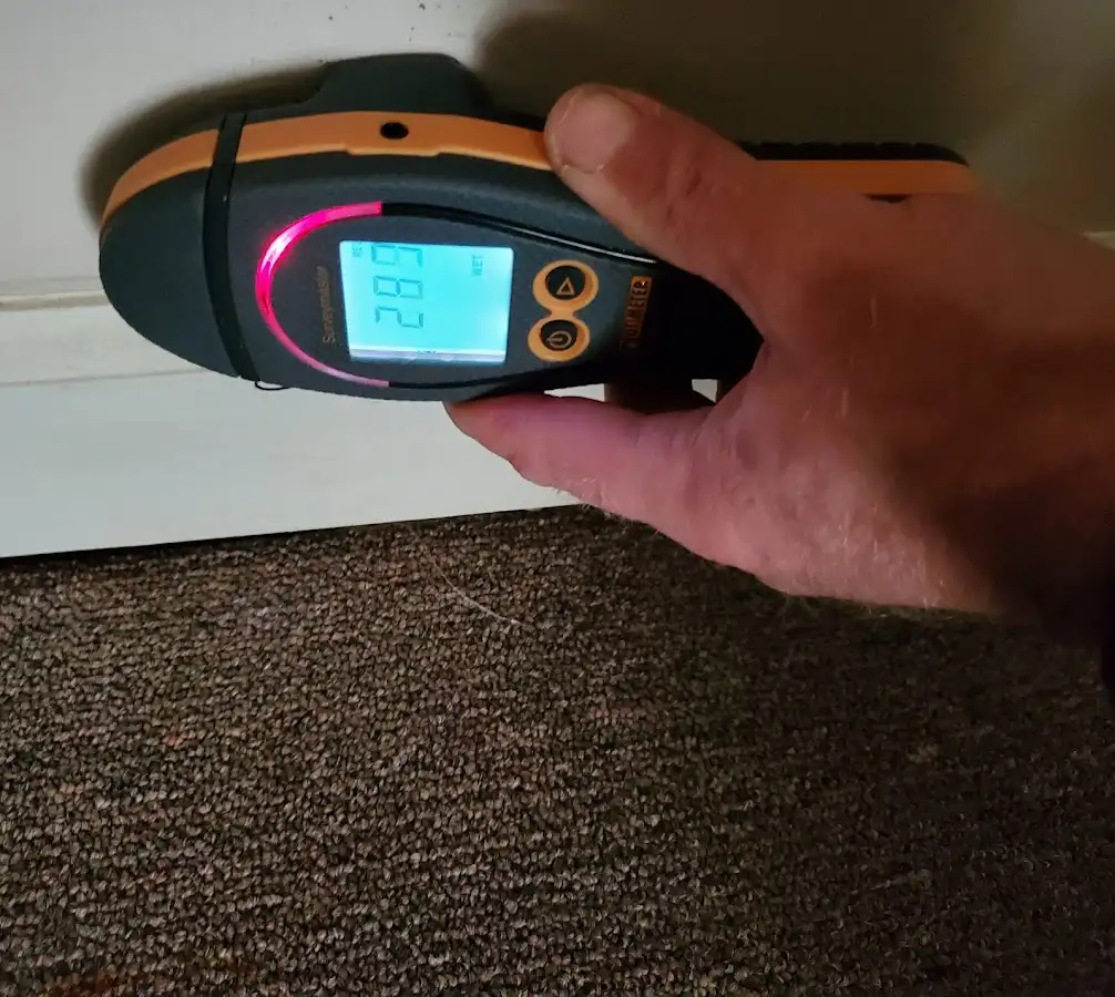 Moisture detection at baseboard during Sewage Cleanup & Sanitation in Minooka